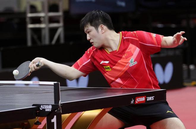 他大概率会 他大概率会